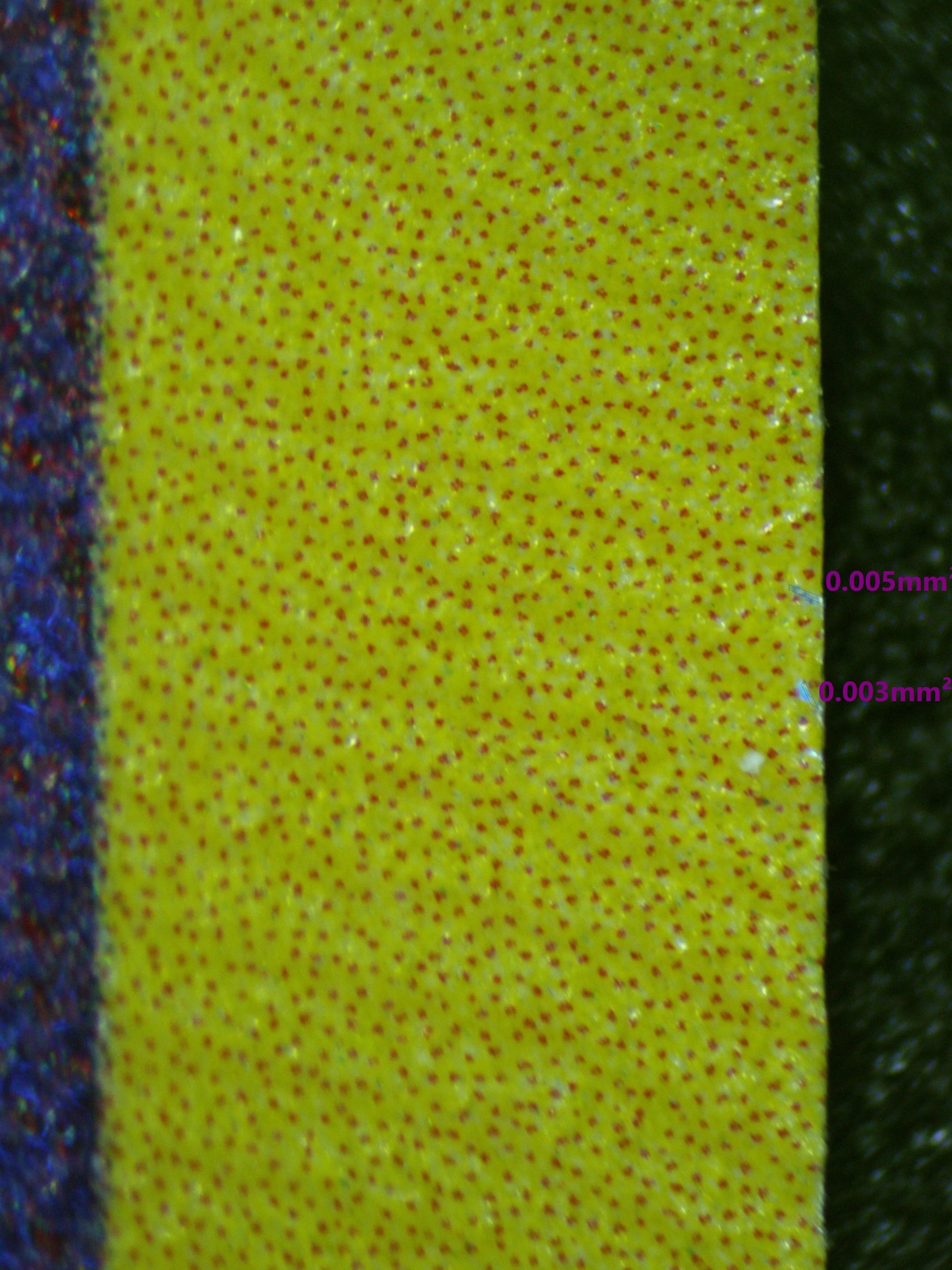 00925 RADIANT ALAKAZAM Grading Card