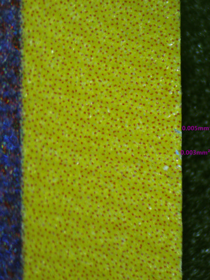 00925 RADIANT ALAKAZAM Grading Card