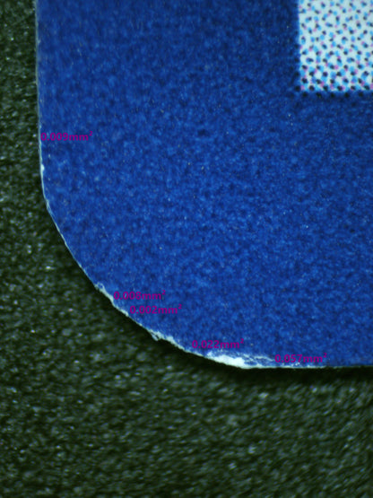 00974 ERIKA'S INVITATION Grading Card