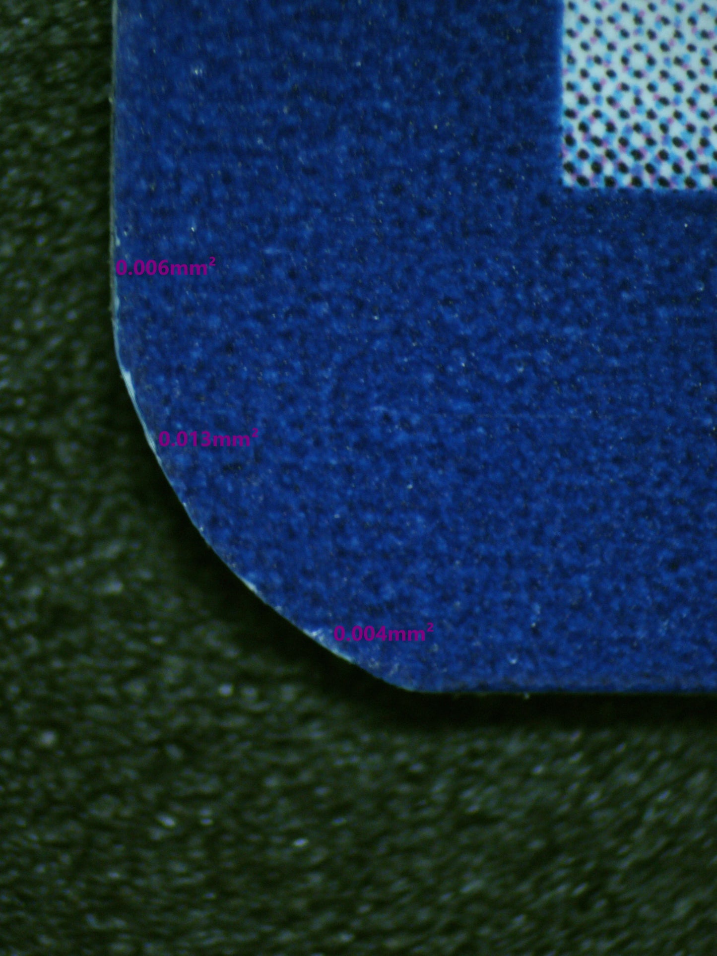 00980 NEMONA Grading Card