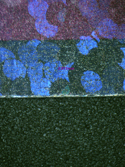 00983 EMOLGA Grading Card