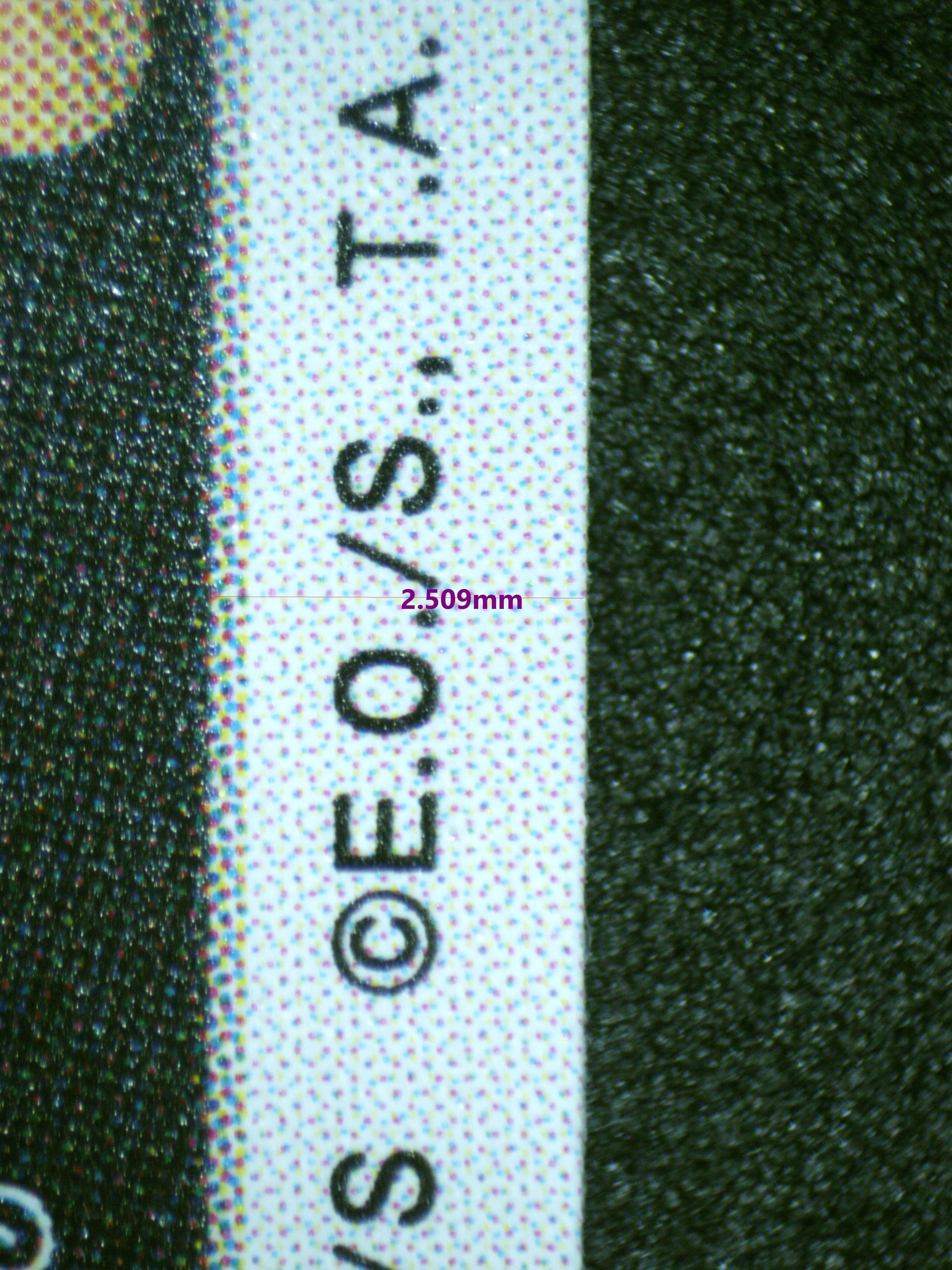 00763 ELIZABELLO ll Grading Card