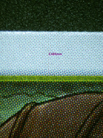 00796 SHURA Grading Card