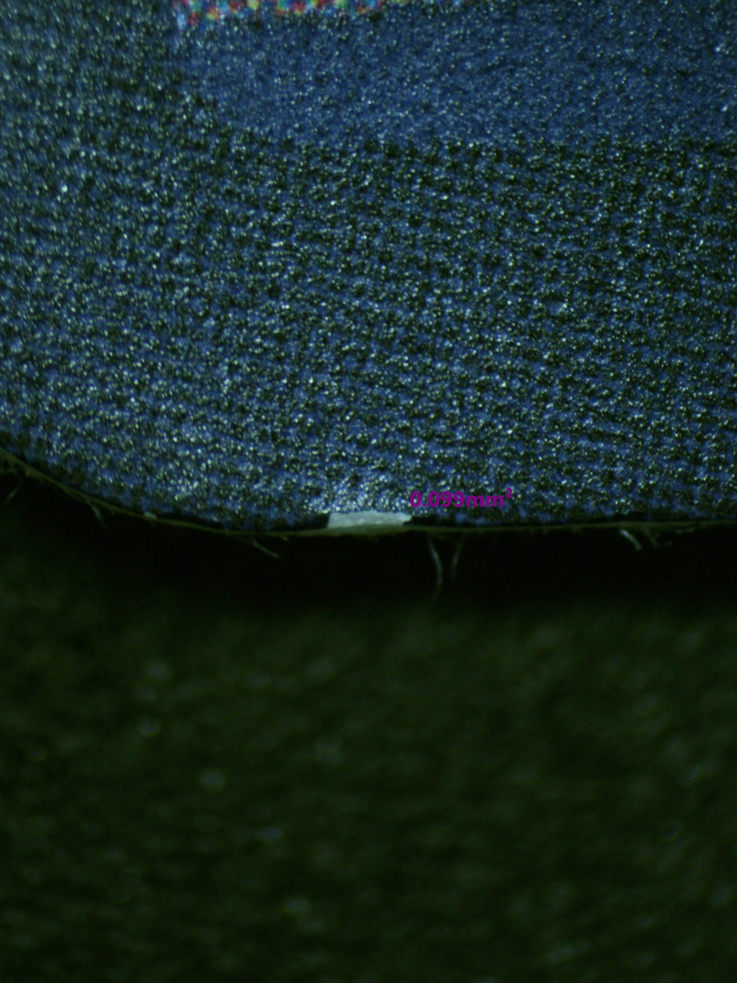 00799 PAGAYA Grading Card