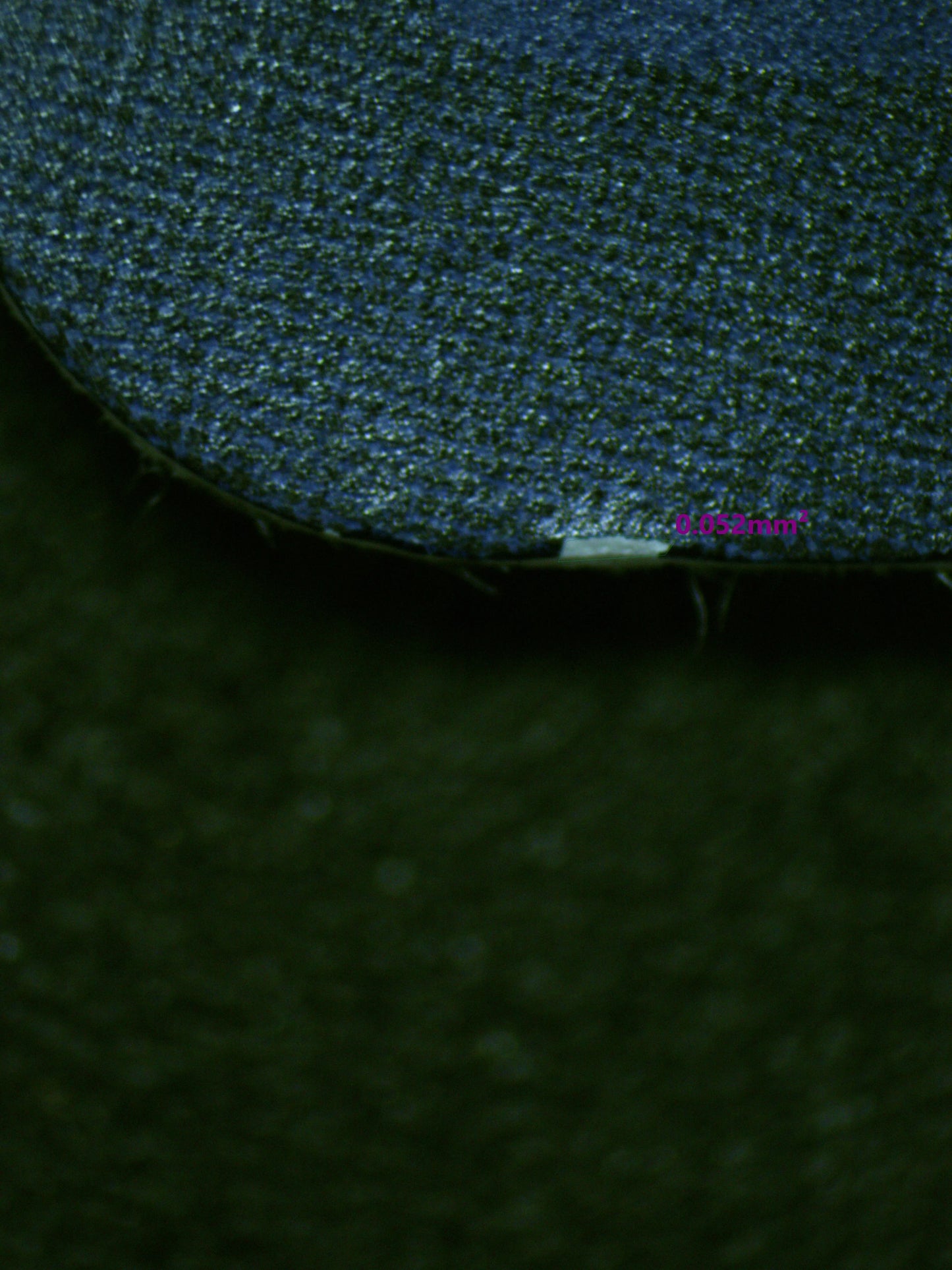 00799 PAGAYA Grading Card