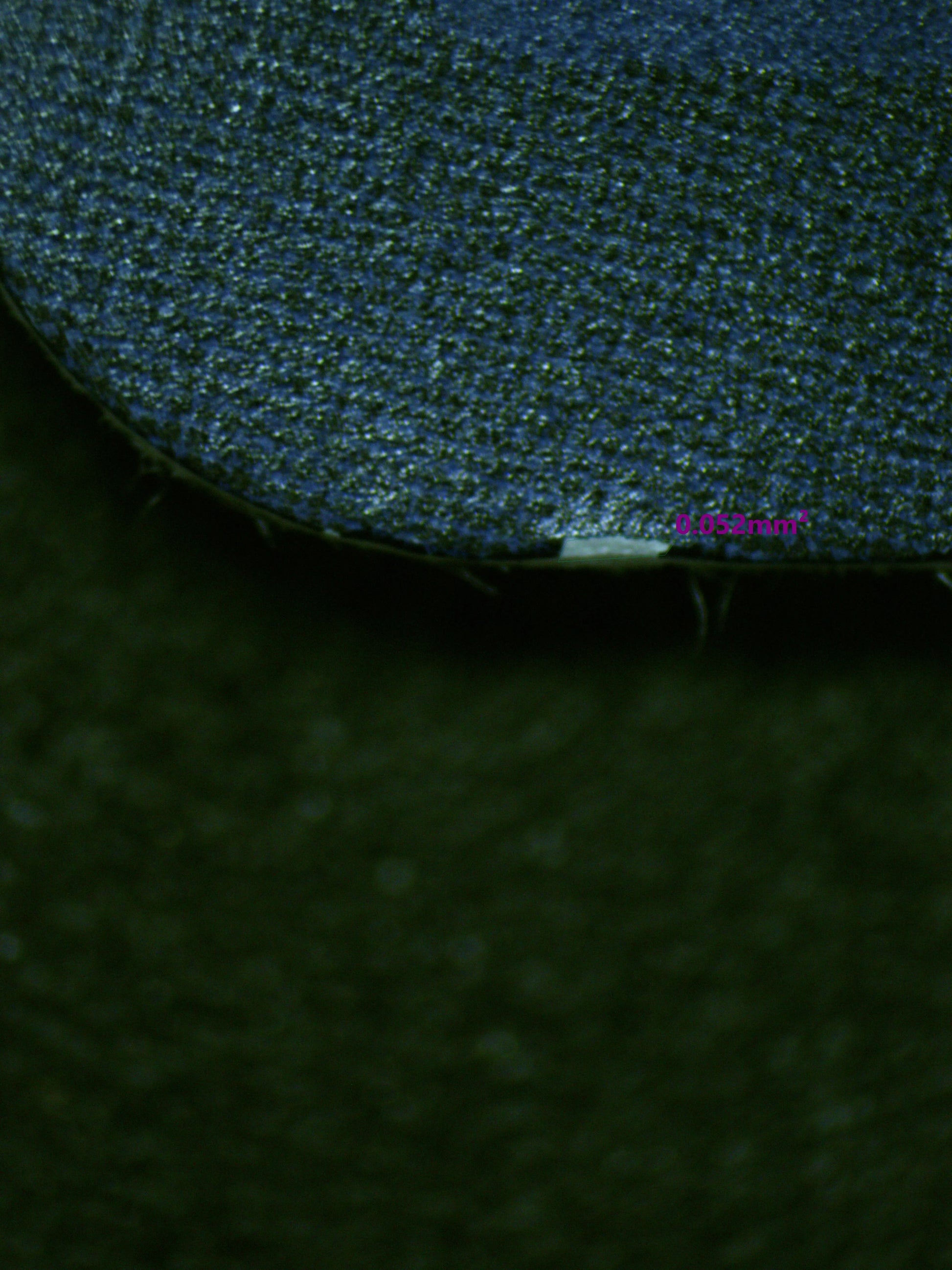 00799 PAGAYA Grading Card