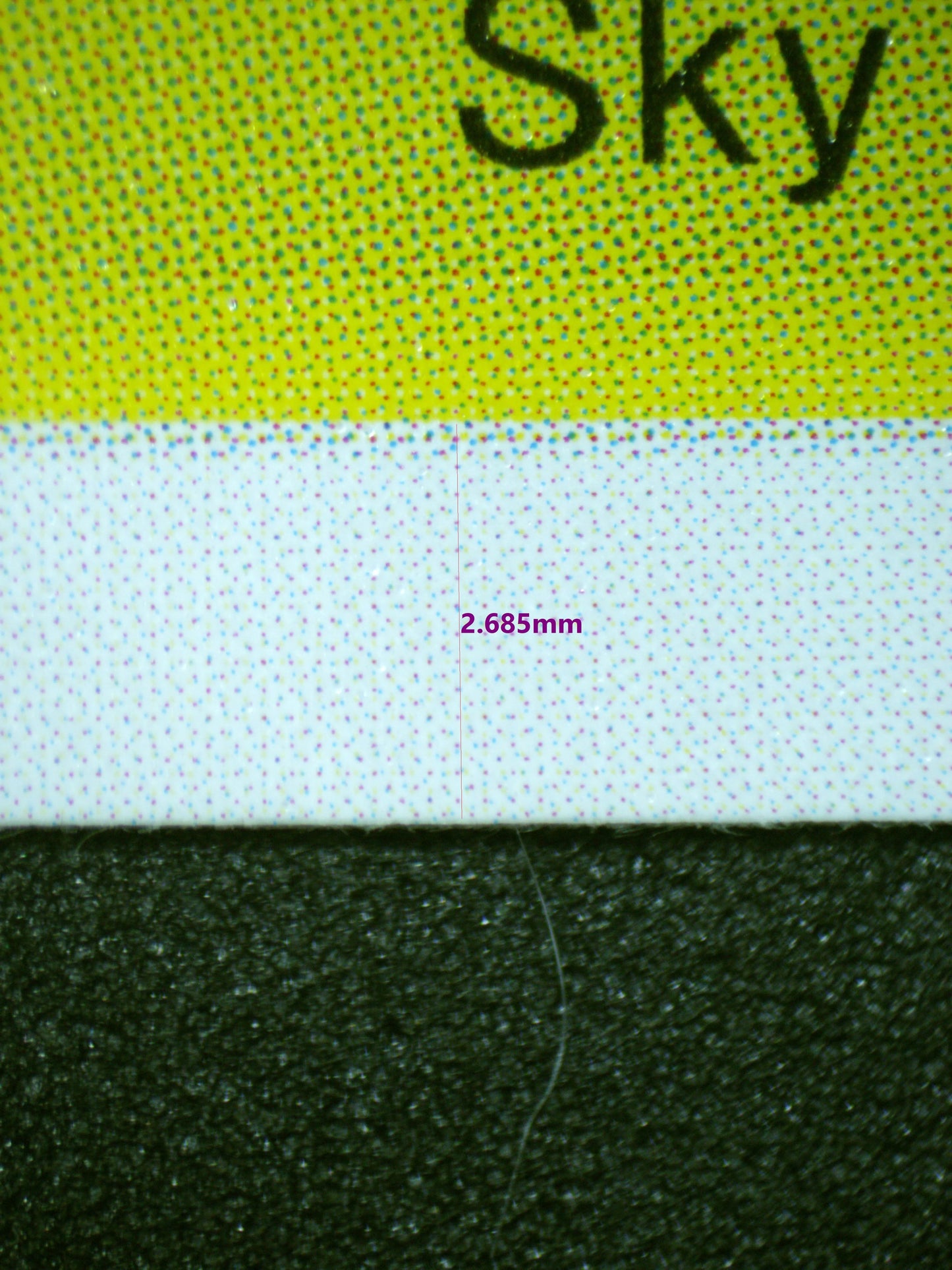 00799 PAGAYA Grading Card