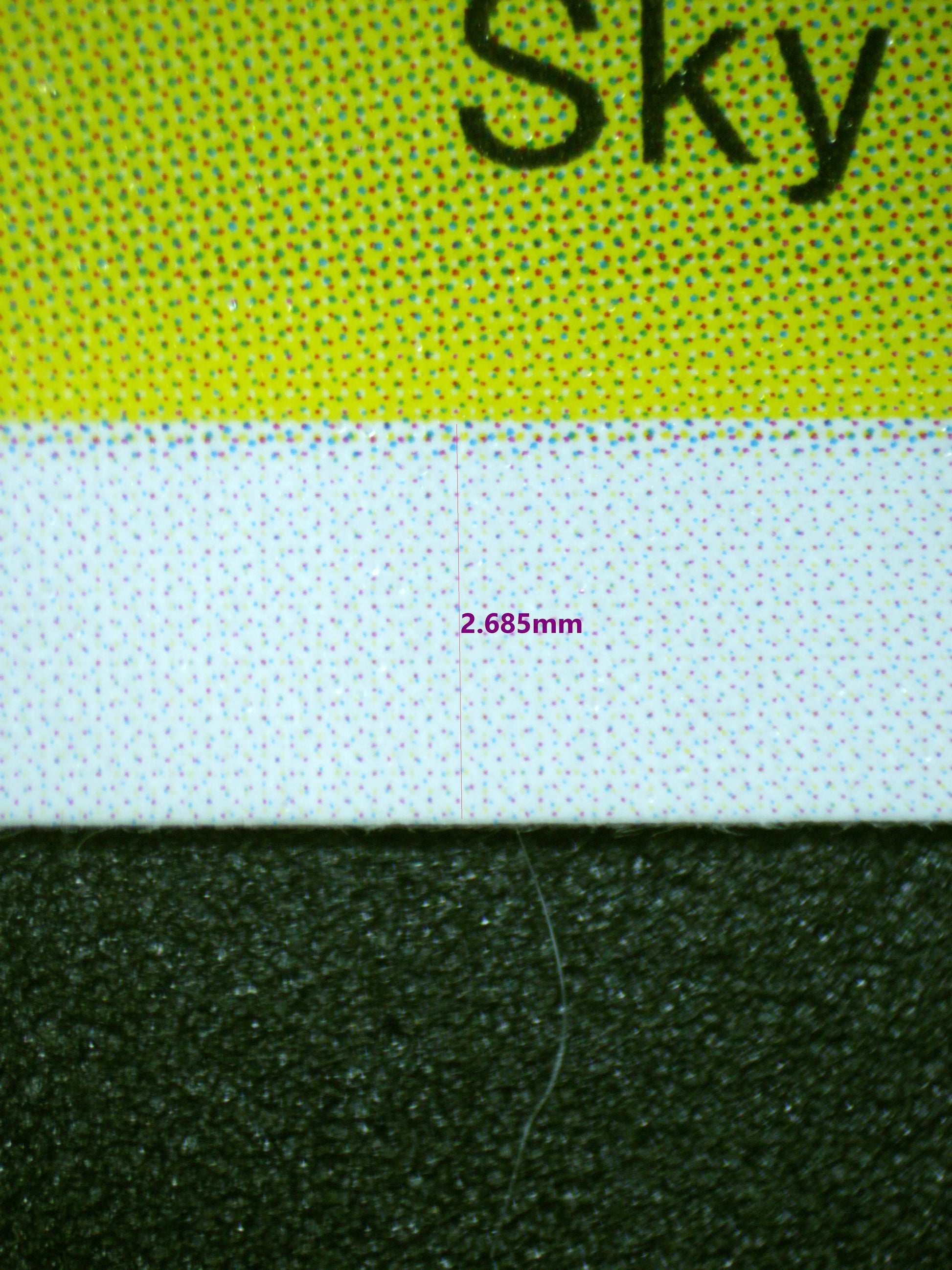 00799 PAGAYA Grading Card