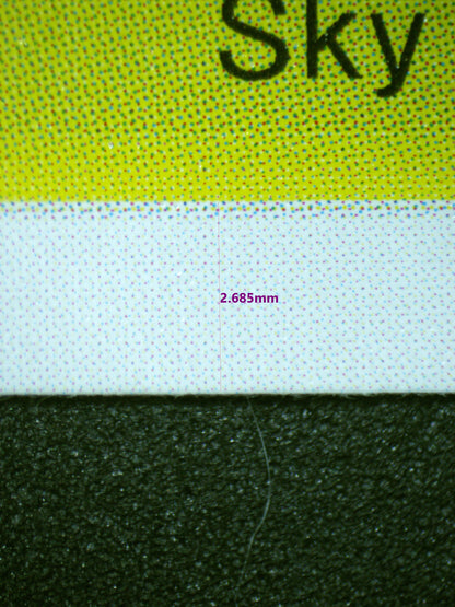 00799 PAGAYA Grading Card