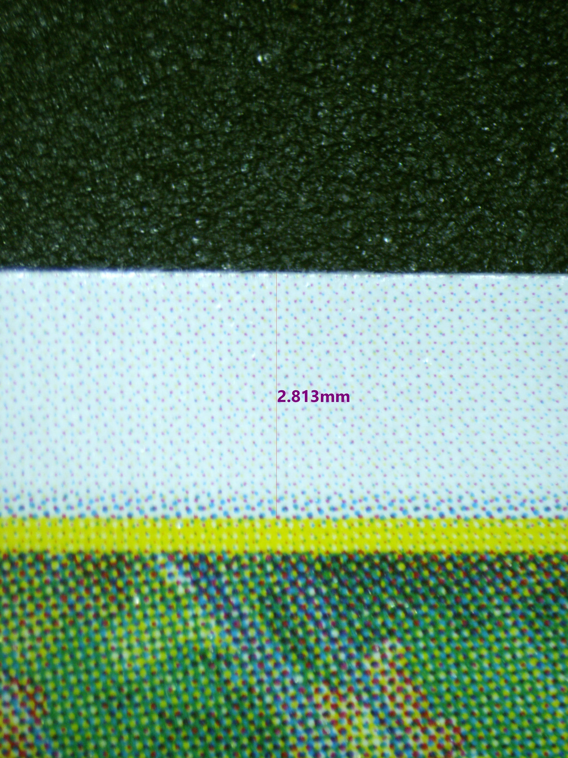 00799 PAGAYA Grading Card