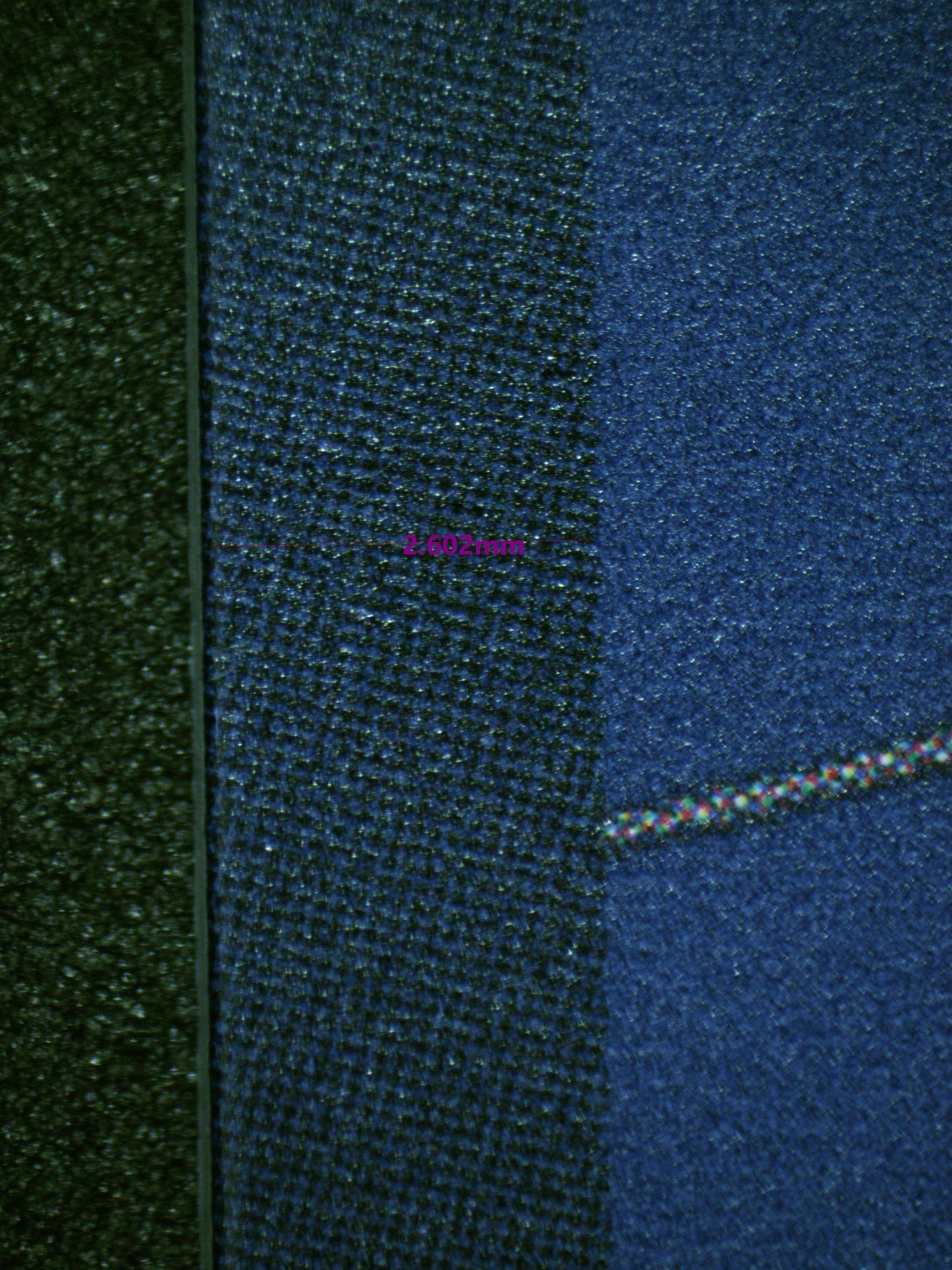 00818 ROB LUCCI Grading Card