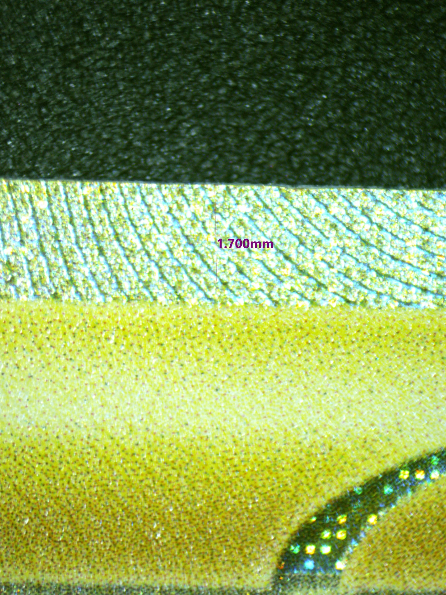 01003 SWITCH Grading Card