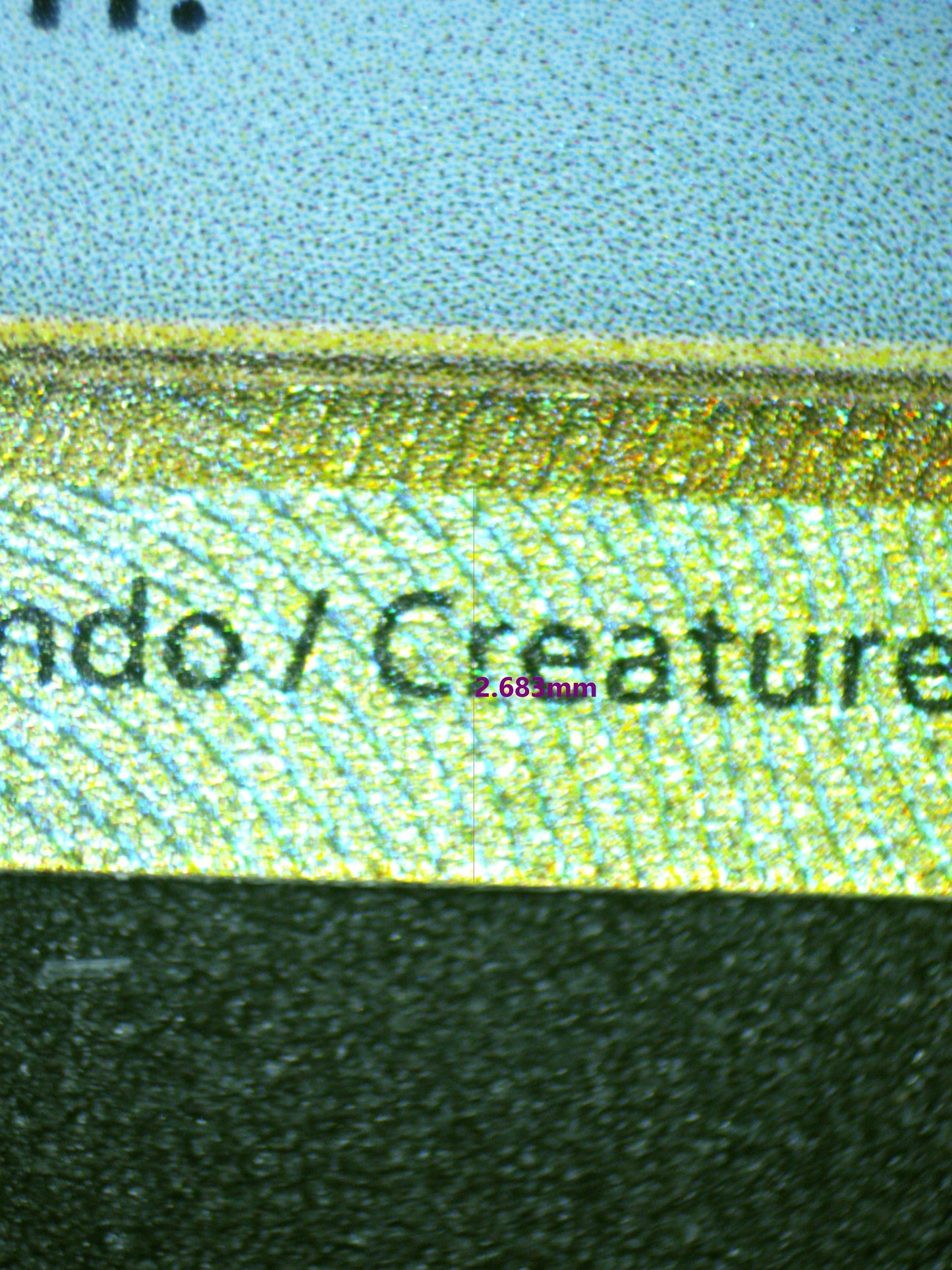 01003 SWITCH Grading Card