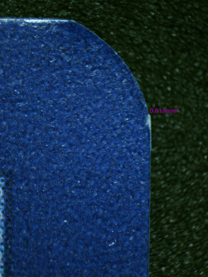 01005 SCREAM TAIL Grading Card