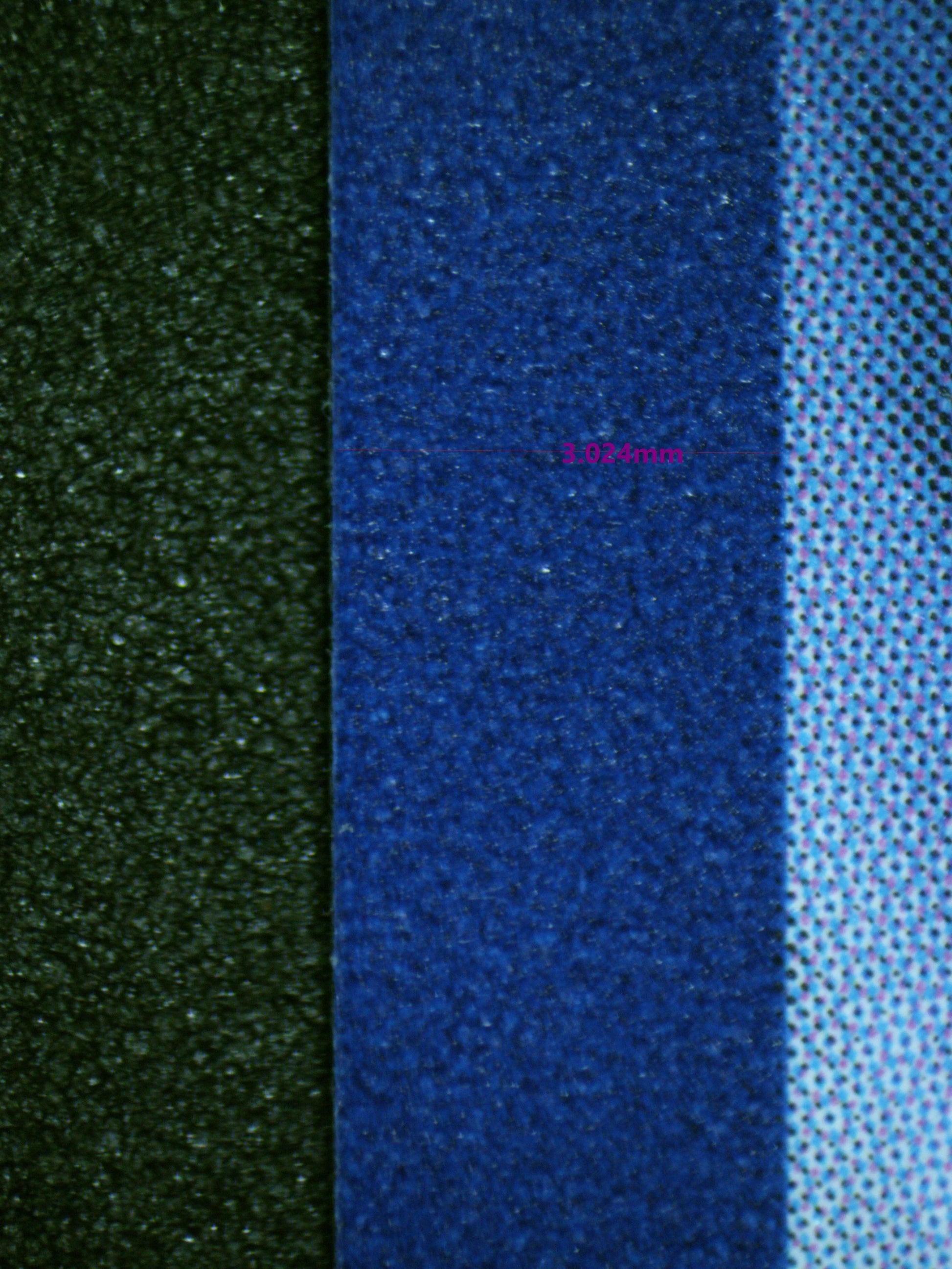 01005 SCREAM TAIL Grading Card