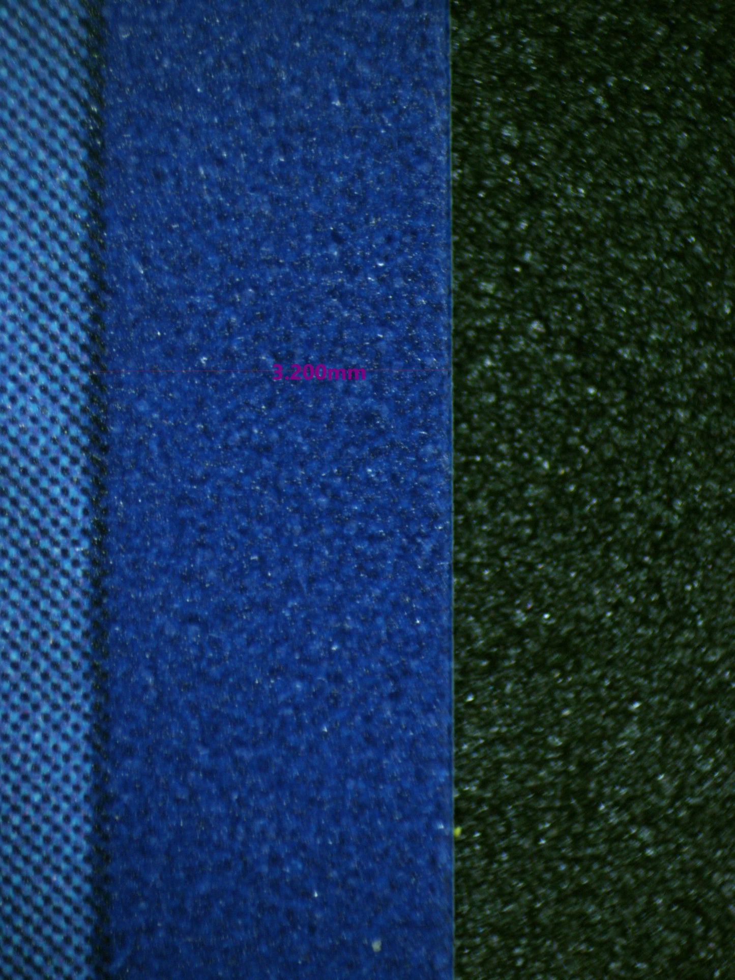 01005 SCREAM TAIL Grading Card