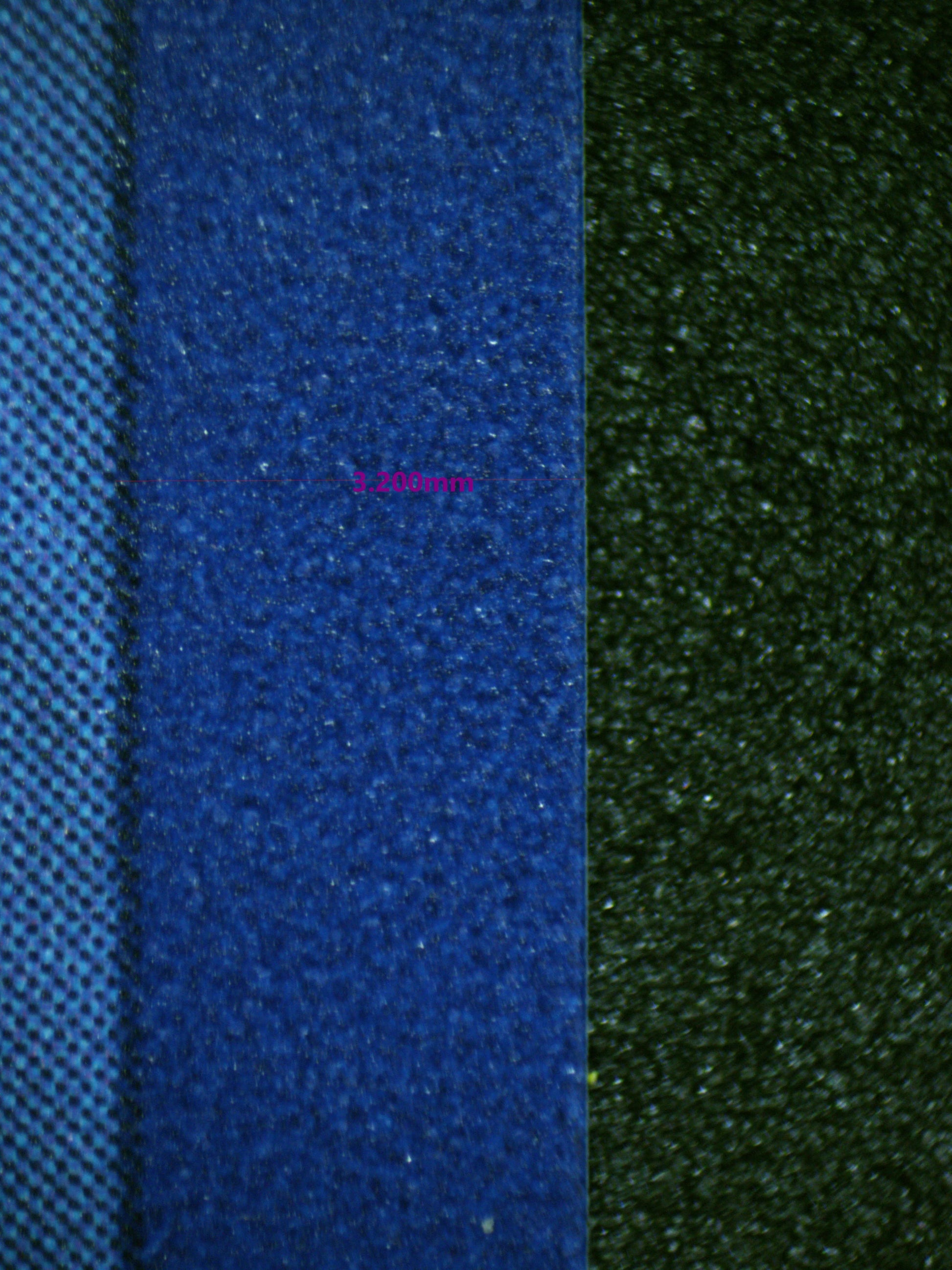 01005 SCREAM TAIL Grading Card