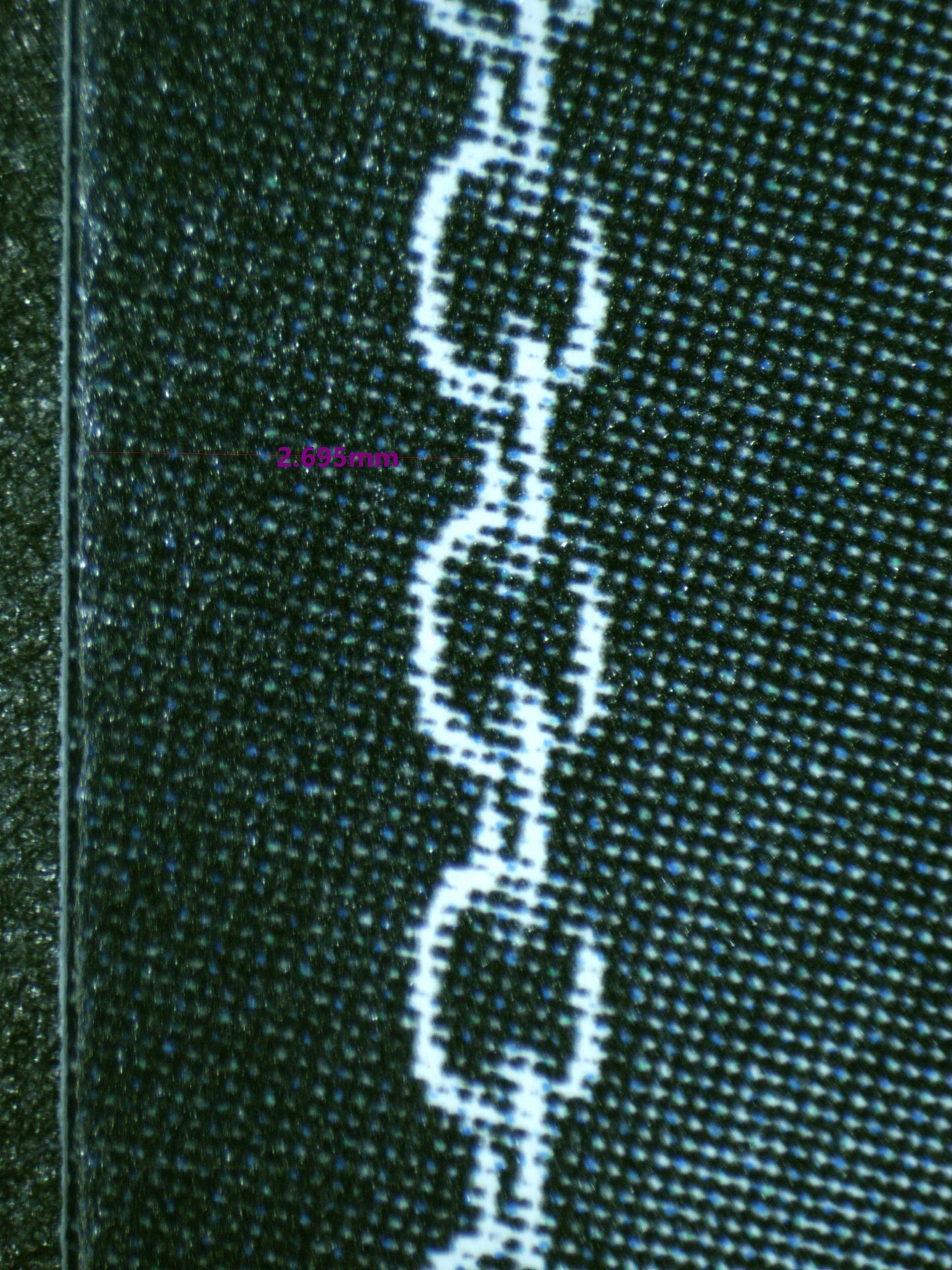 01021 ENCORE JUST FOR TWO, OMARU POLKA Grading Card