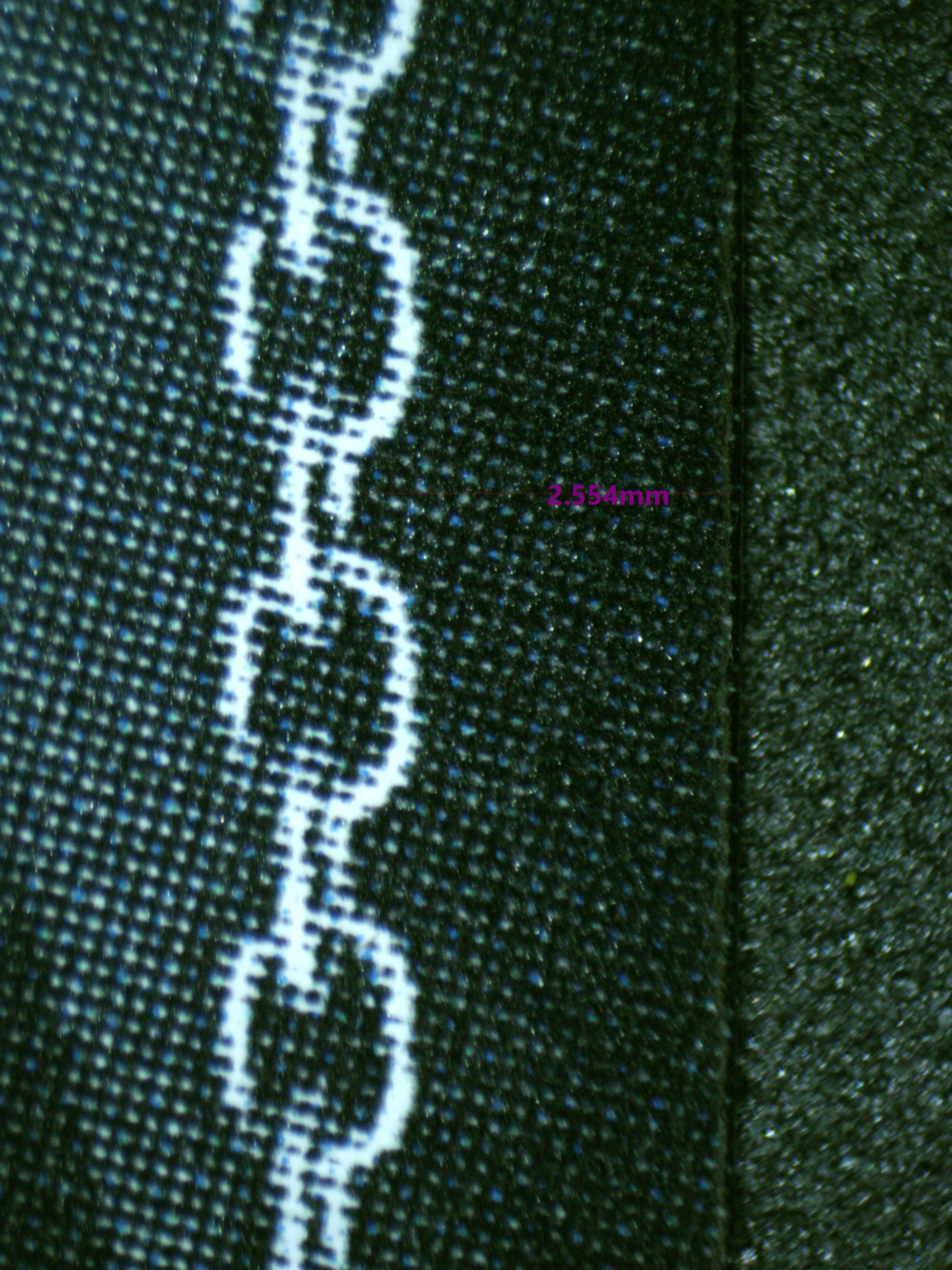 01021 ENCORE JUST FOR TWO, OMARU POLKA Grading Card