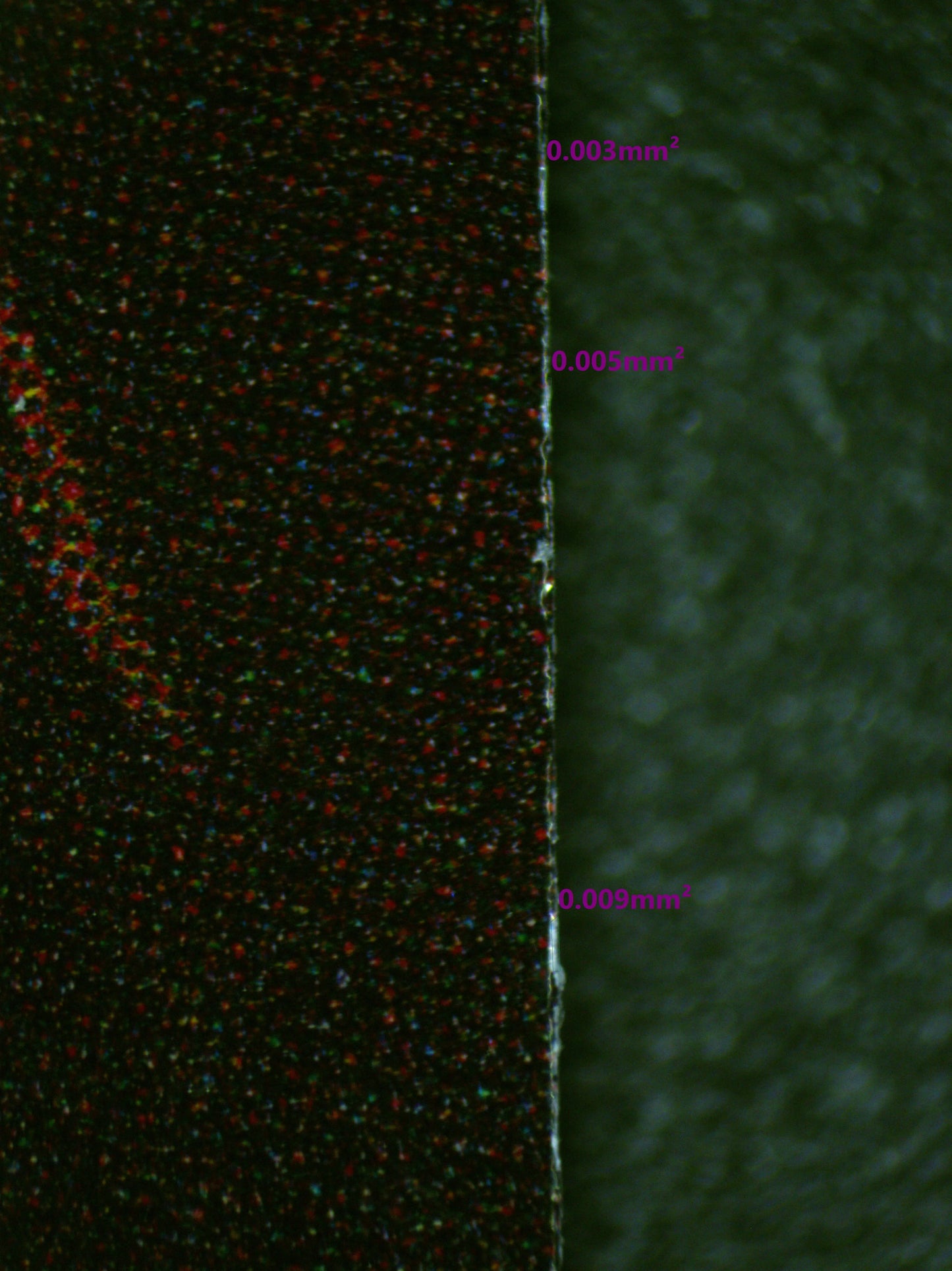 01021 ENCORE JUST FOR TWO, OMARU POLKA Grading Card