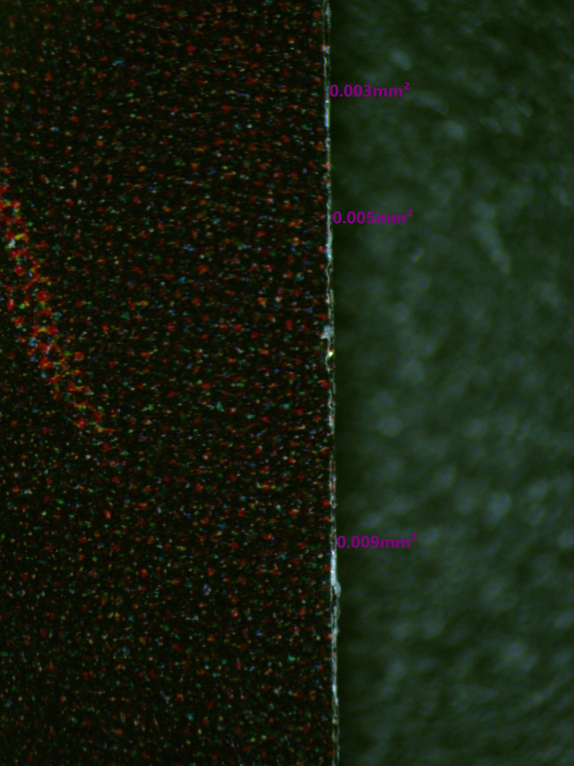 01021 ENCORE JUST FOR TWO, OMARU POLKA Grading Card