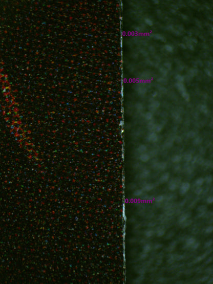 01021 ENCORE JUST FOR TWO, OMARU POLKA Grading Card