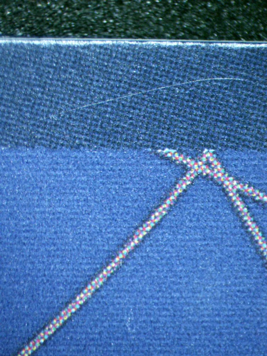 00824 SHANKS Grading Card