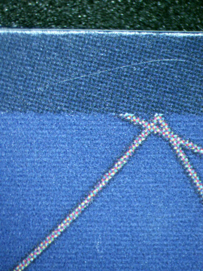 00824 SHANKS Grading Card