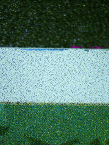 01024 SNORLAX Grading Card