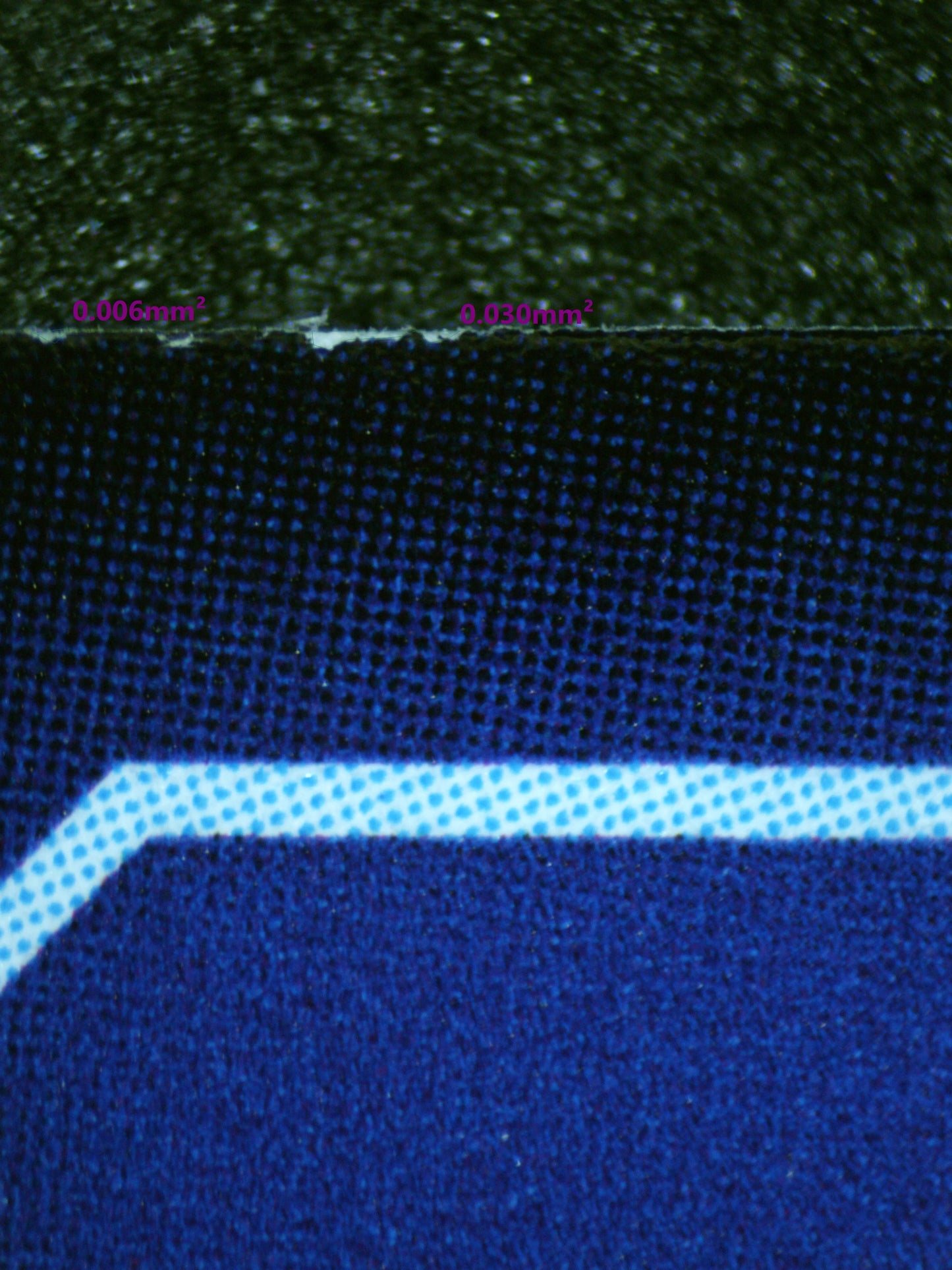 01086 KUDAMON Grading Card