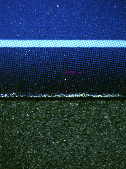 01086 KUDAMON Grading Card