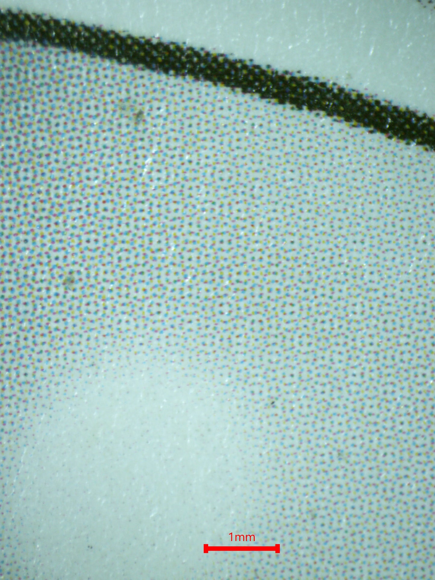 01027 TYRANITAR (DELTA SPECIES) Grading Card