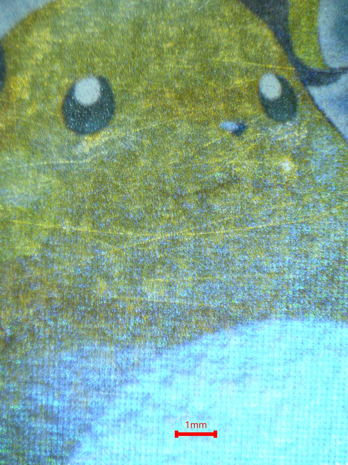 01026 RAICHU Grading Card