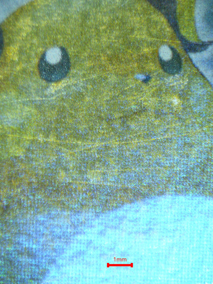 01026 RAICHU Grading Card