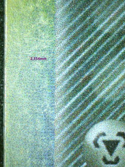 01026 RAICHU Grading Card