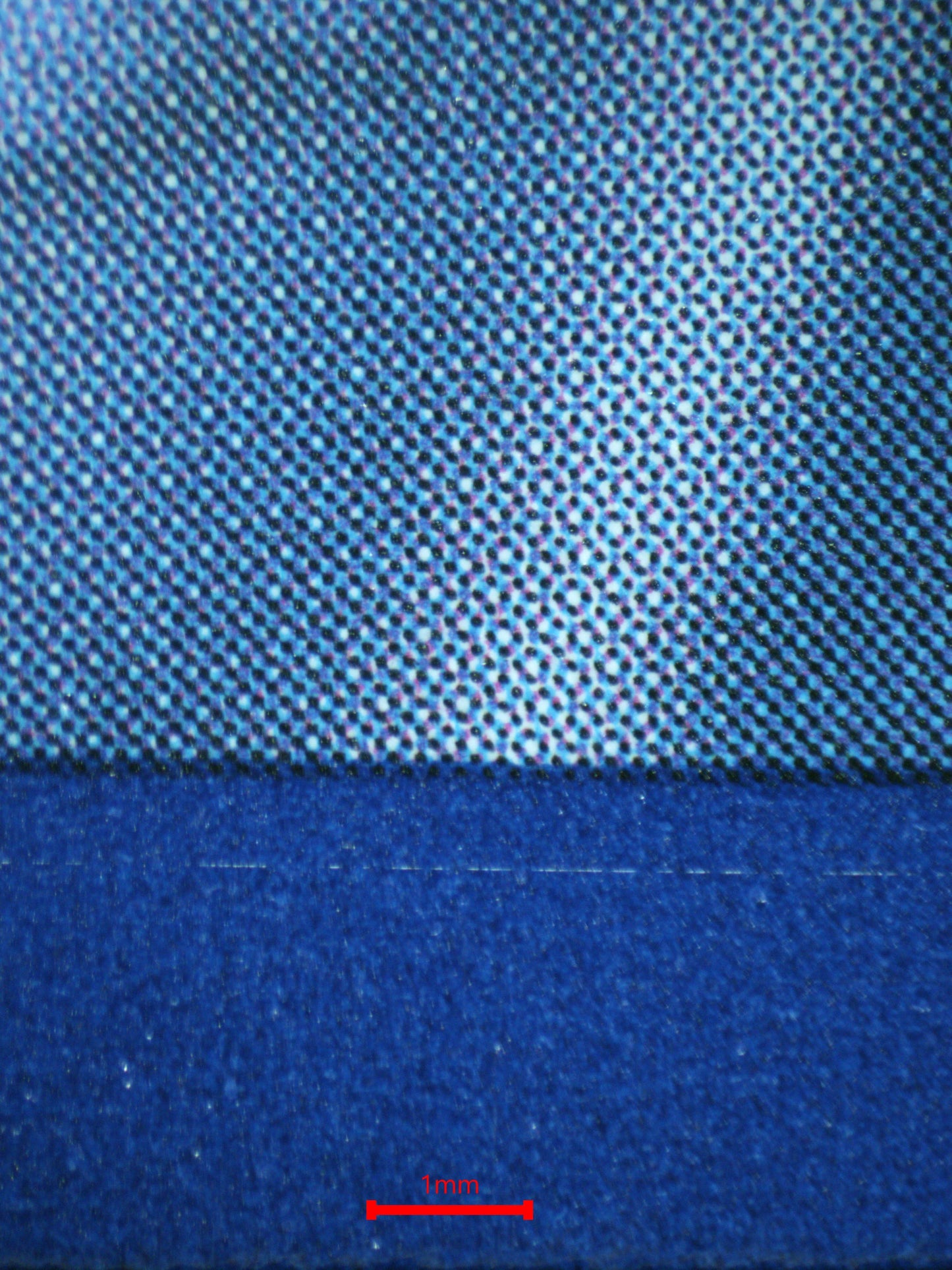 01030 CYNTHIA'S AMBITION Grading Card