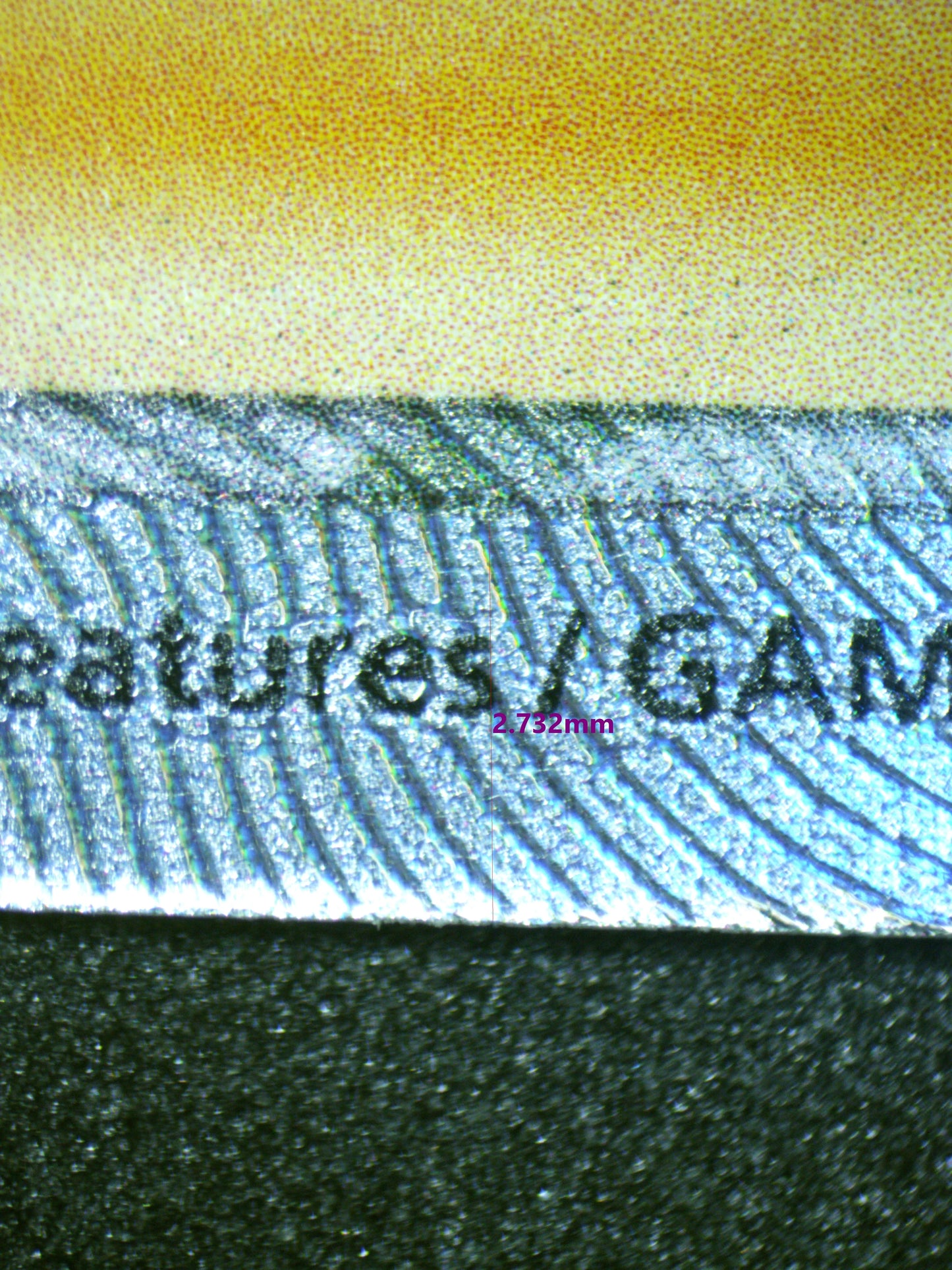 01030 CYNTHIA'S AMBITION Grading Card