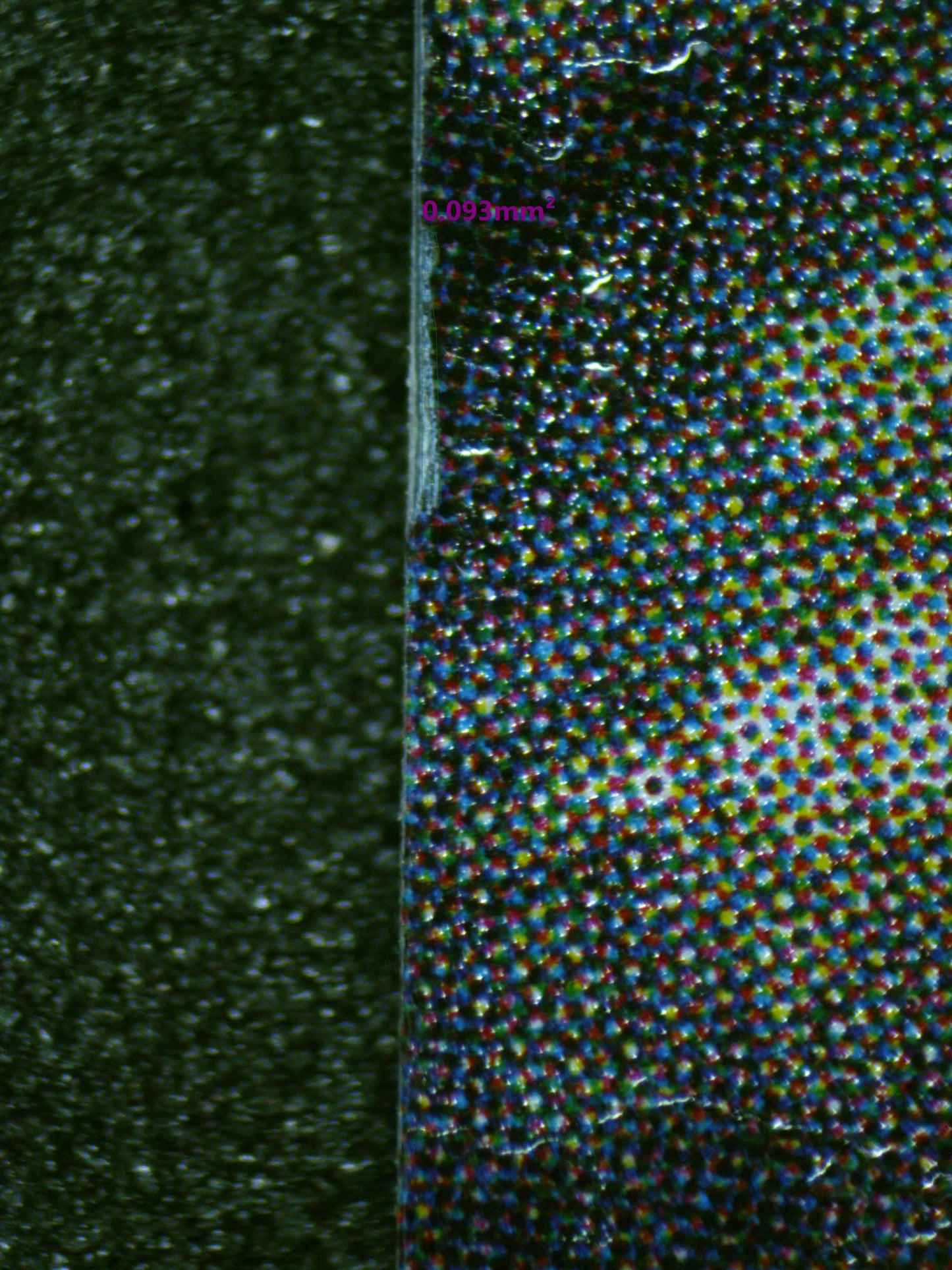 01039 EDWARD.NEWGATE Grading Card