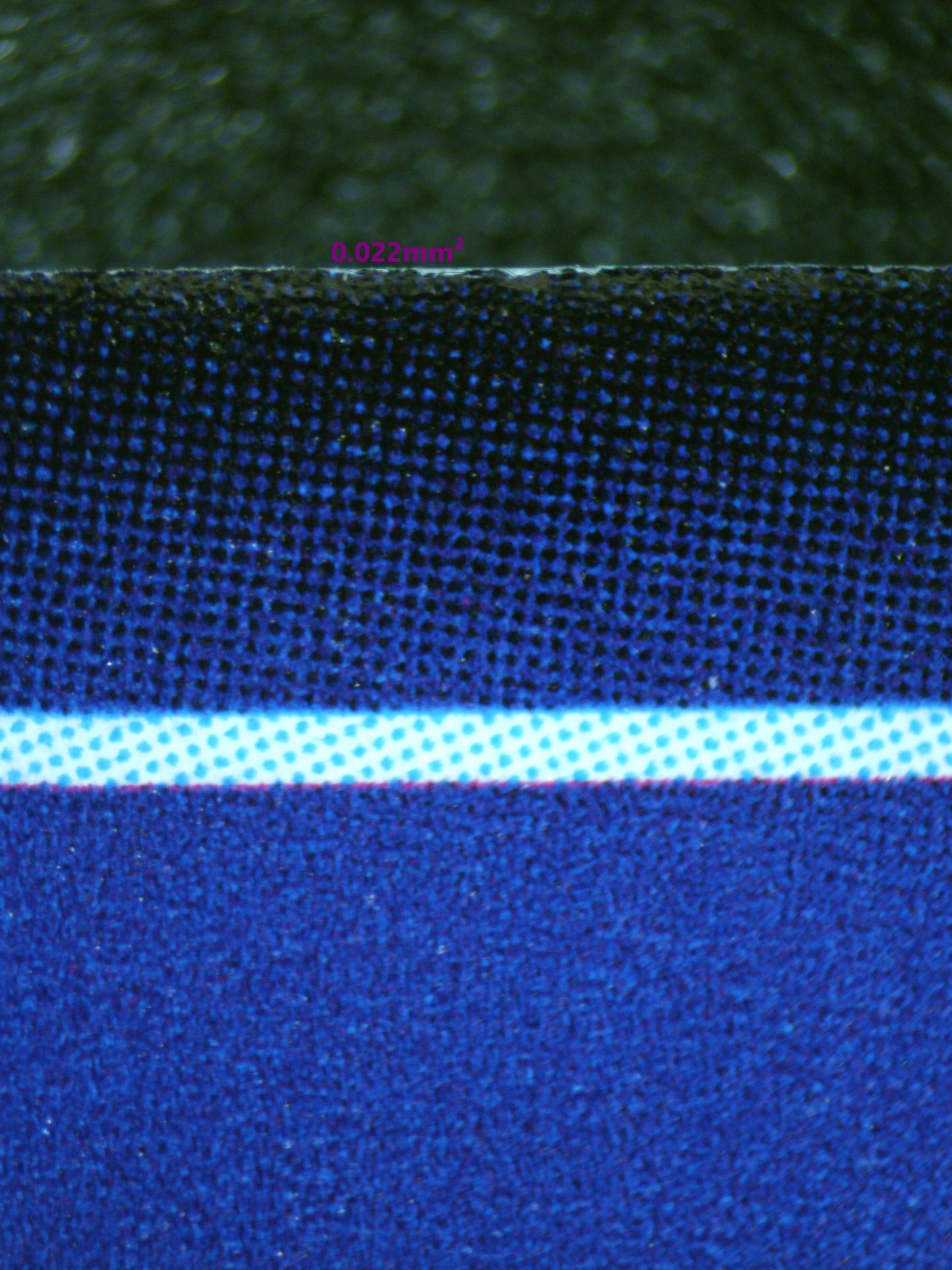 01121 FAKE AGUMON EXPERT Grading Card