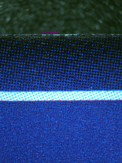 01121 FAKE AGUMON EXPERT Grading Card