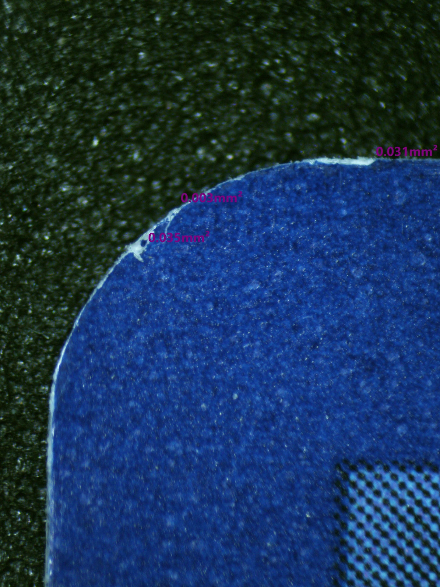 01135 CHARMANDER Grading Card