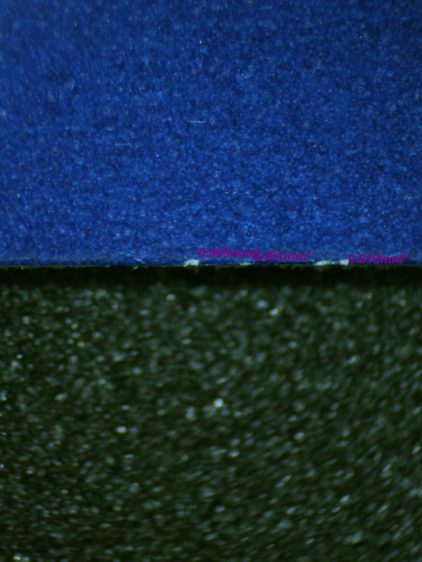 01135 CHARMANDER Grading Card