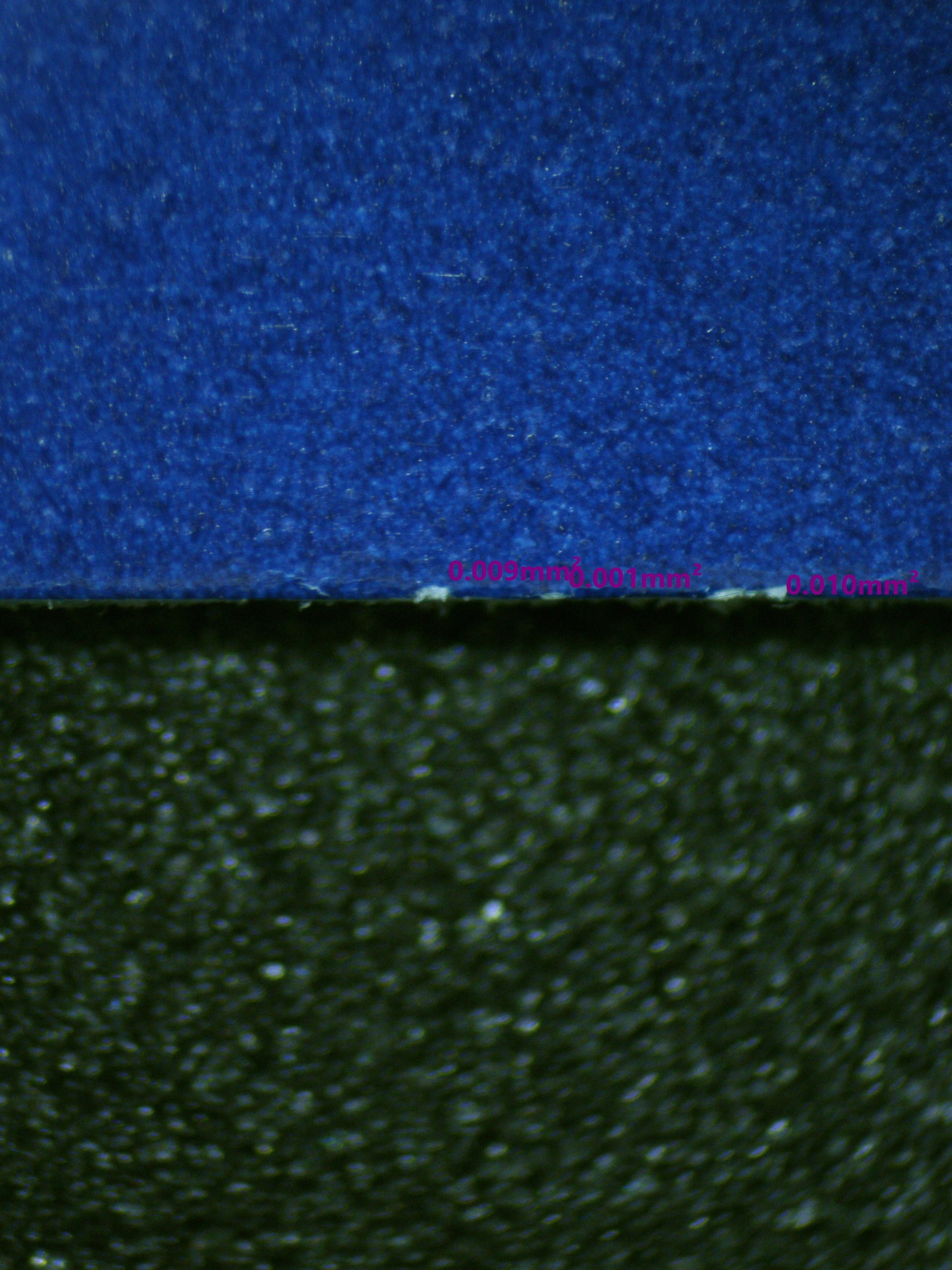 01135 CHARMANDER Grading Card