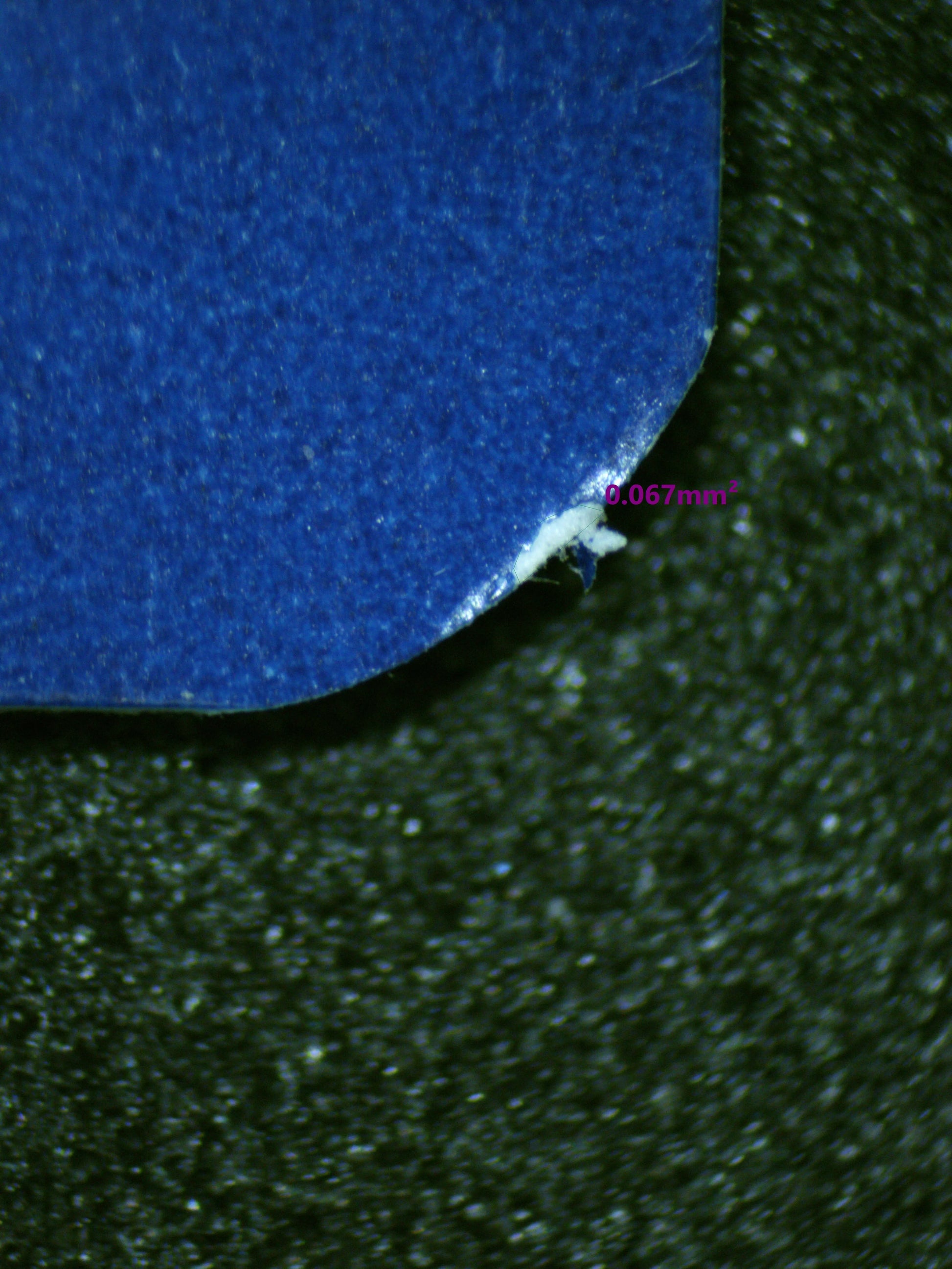 01150 CHARMANDER Grading Card