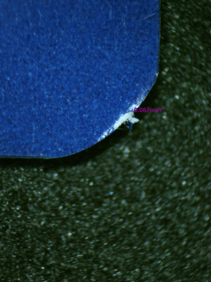 01150 CHARMANDER Grading Card