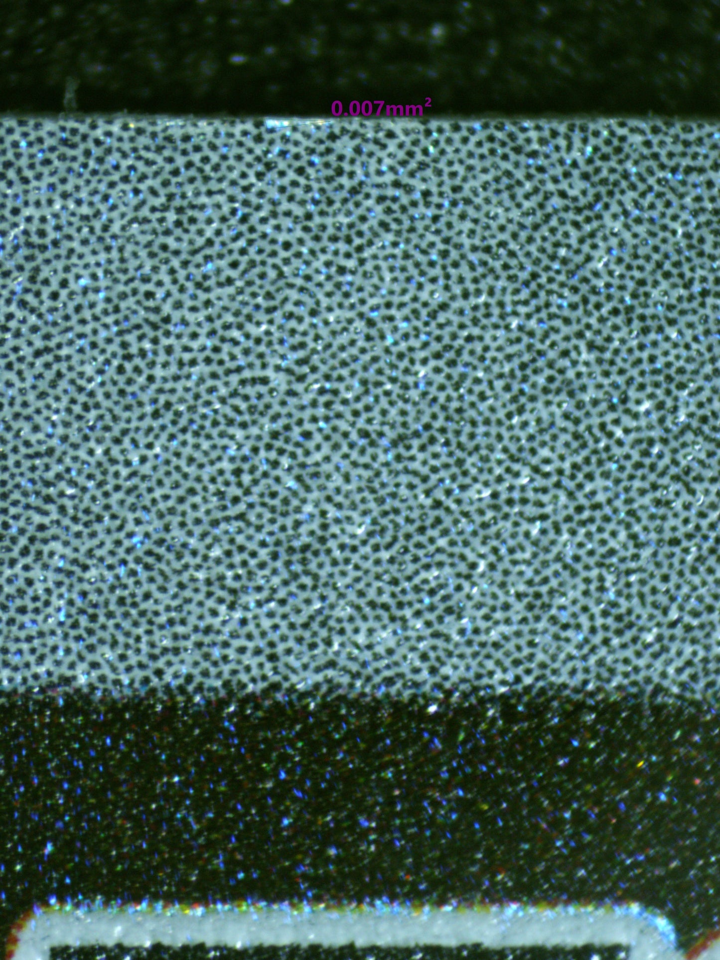 01150 CHARMANDER Grading Card