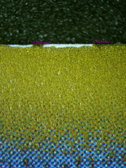 01152 ZAPDOS EX (JAPANESE) Grading Card