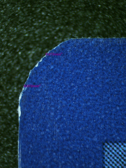 01161 CHARIZARD EX Grading Card