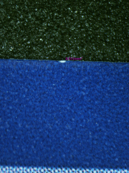 01161 CHARIZARD EX Grading Card