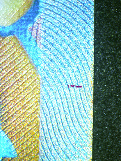 01161 CHARIZARD EX Grading Card